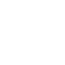 s_ico1_1.webp