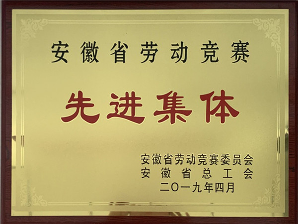 淮北华孚荣获2018年安徽省劳动竞赛先进集体
